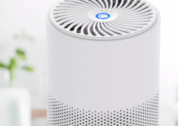 Best Air Purifiers