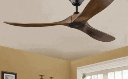 best ceiling fans
