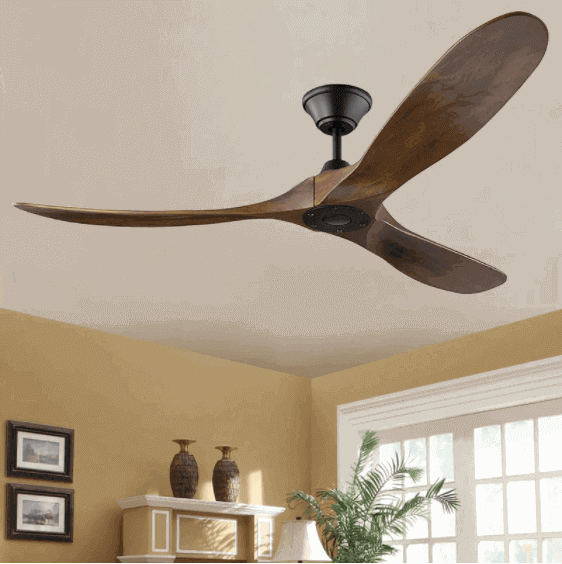 12 Best Ceiling Fans